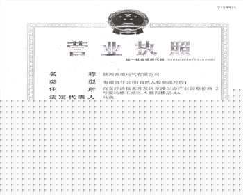 陜西西熔電氣有限公司